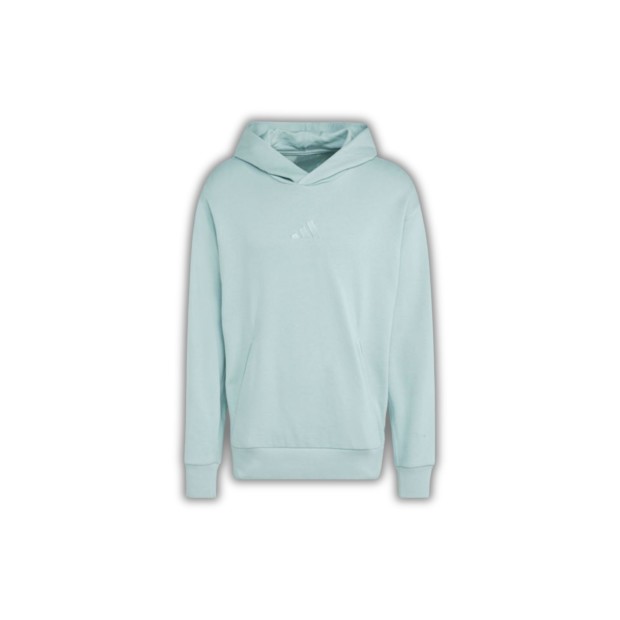 Herren Hoodie 