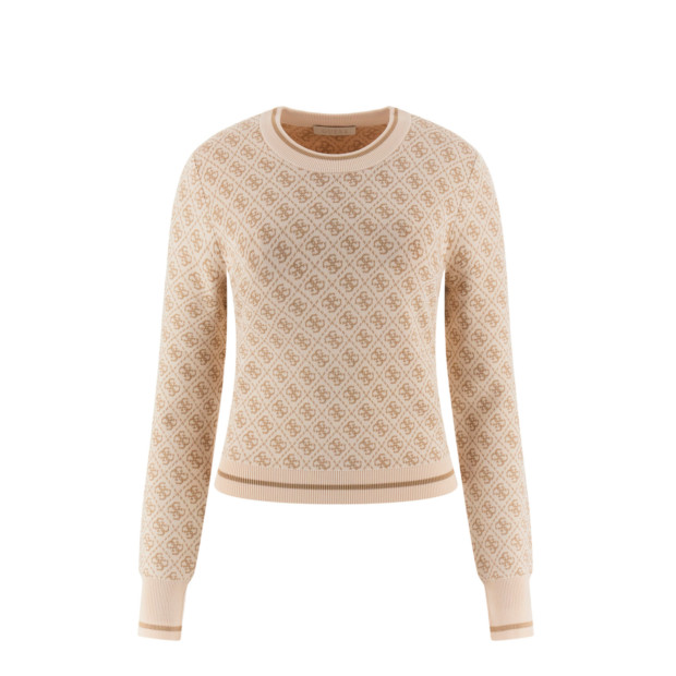 4G Sweater