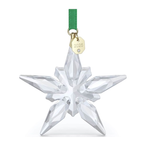 Dekohänger Annual Edition Ornament 2025