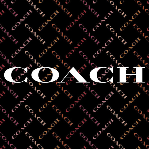 Coach virtuelles shoppen