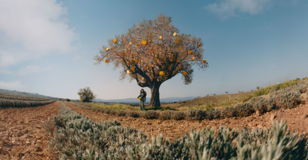 Loccitane 20% ab 50€ - BW