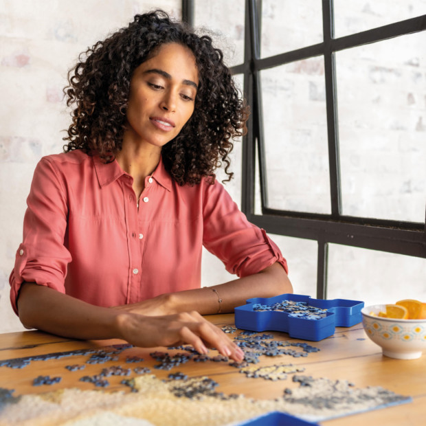 Ravensburger Kostenfreies Buch ab 20€